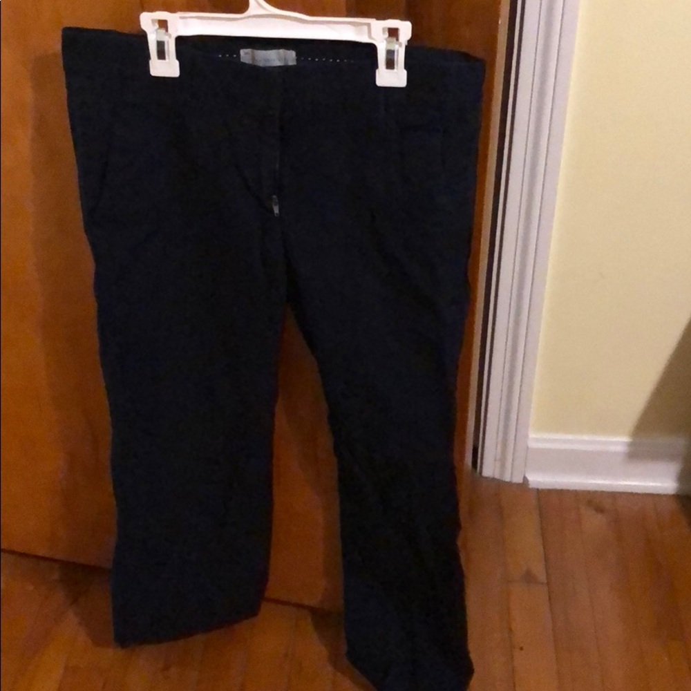 Navy Blue True Straight Pant